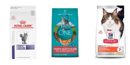Recommended cat food brands