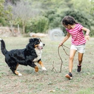 Kid and dog