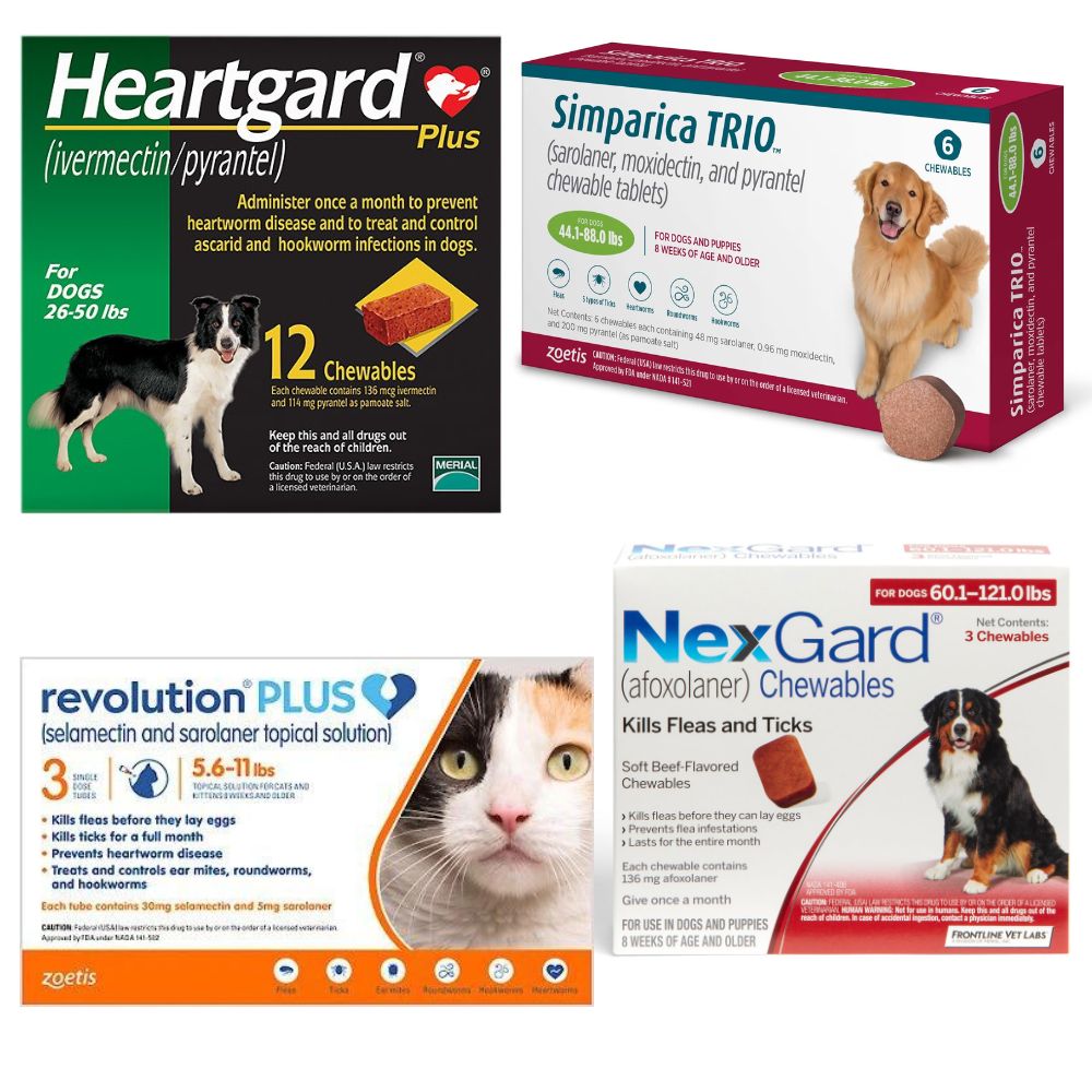 Recommended oral flea/tick prevention