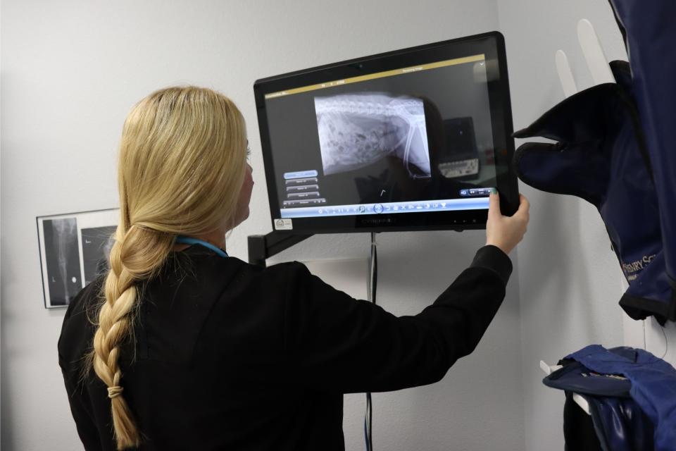 Xray
