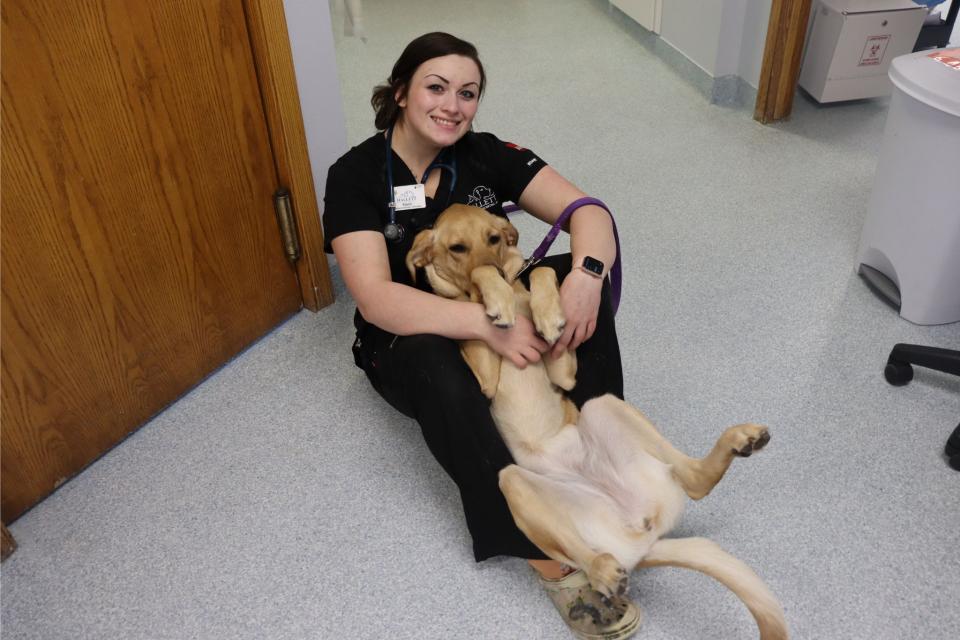 Happy Dog & Technician