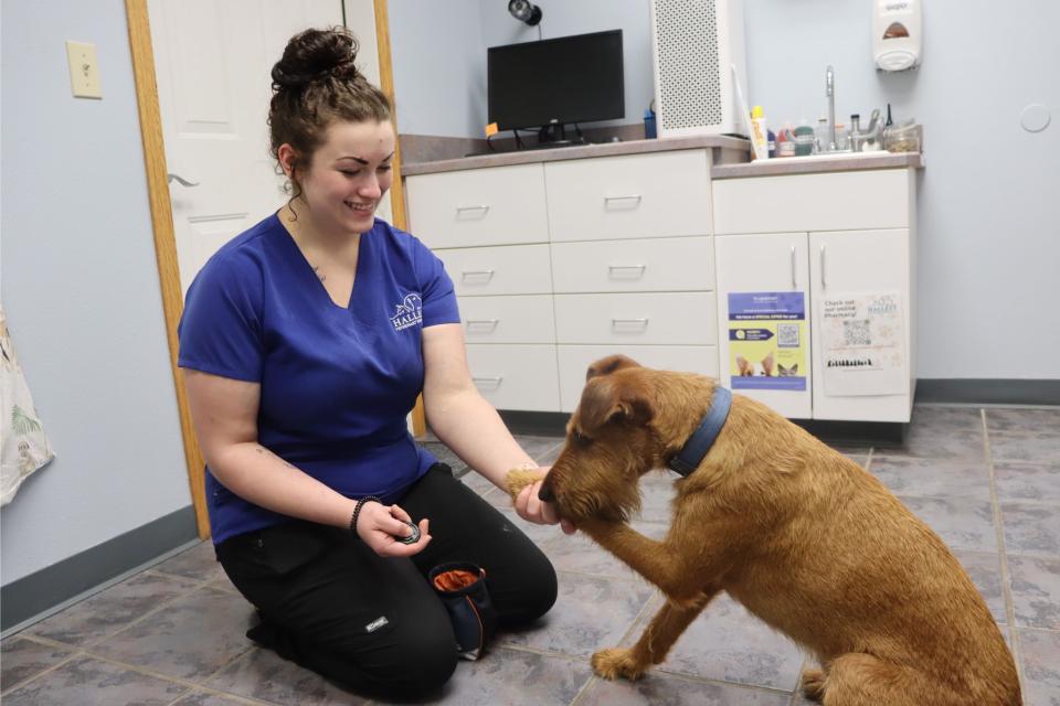 Clicker dog training