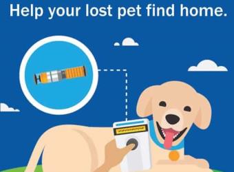 Microchip Your Pet