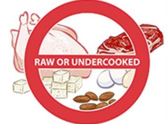 Raw Food Diets