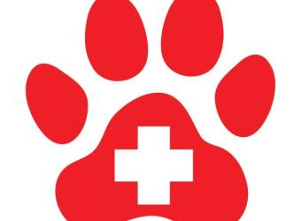 Support and Transfer of Traumatic Injury Patients