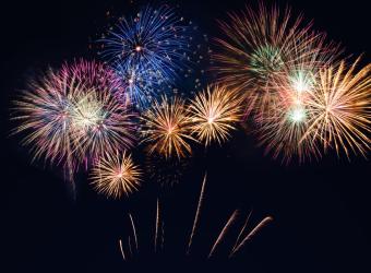 Thunderstorm and Fireworks Anxiety