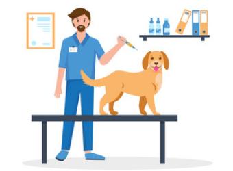 Vaccine Information For You And Your Pet