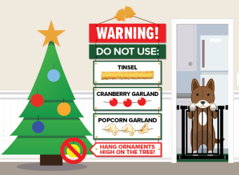 Holiday Hazards